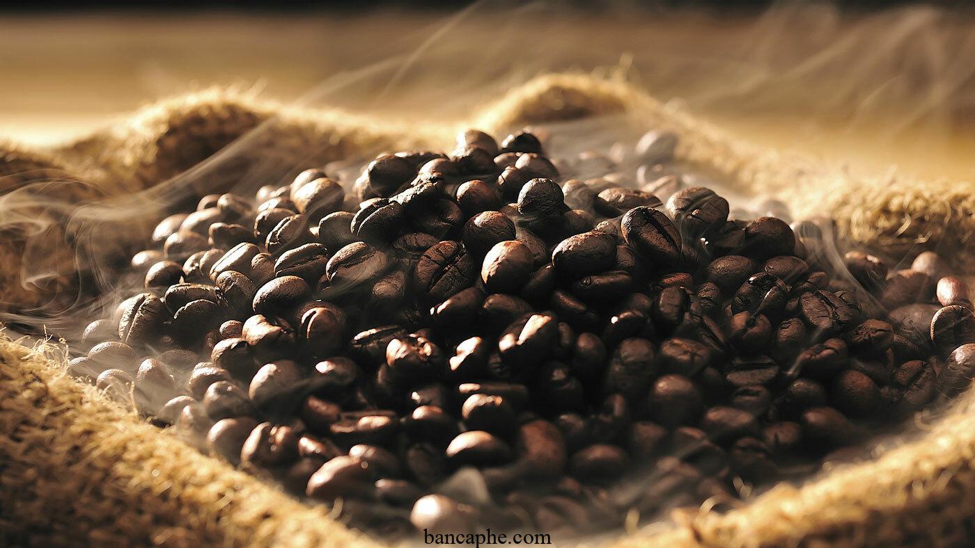 Đắm chìm trong hương thơm của loại cà phê đặc biệt năm 2024, không gì tuyệt vời hơn cho người yêu cà phê
