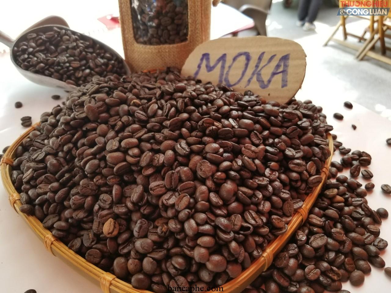 Bí mật của loại cà phê mới năm 2024: Từ những hạt cà phê được trồng và chế biến theo phương pháp truyền thống của người Việt Nam