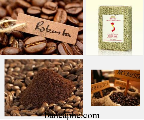 Cà phê Chery Tây Nguyên là gì, nguyên liệu, bao nhiêu tiền 1kg? 3