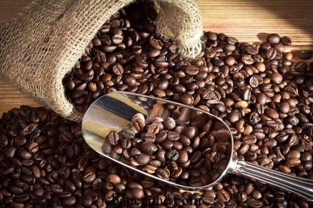 Cà phê Catimor Tây Nguyên là gì, nguyên liệu, bao nhiêu tiền 1kg? 1
