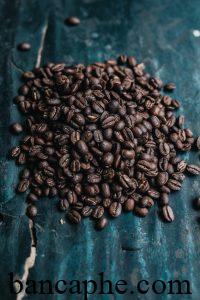 Cà phê Excelsa Tây Nguyên là gì, nguyên liệu, bao nhiêu tiền 1kg? 5